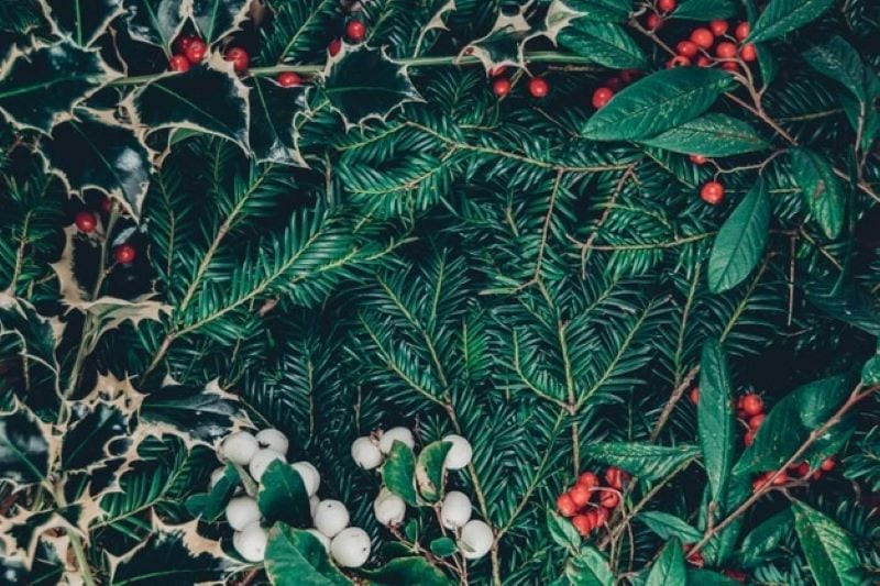 Achieving the Ultimate Holiday Feel with Outdoor Christmas Decorations: Creative Tips and Inspiration for a Magical Setting