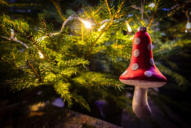 Discover the Best Type of Artificial Christmas Tree for Your Home