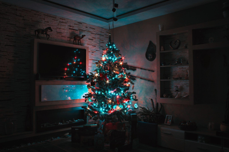 A Guide to Choosing the Perfect Christmas Tree for Bookworms