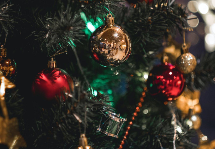 Christmas with a Magical Barn Wedding in Fort Myers