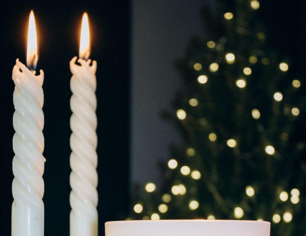 Affordable Christmas Trees to Light Up Your Holidays