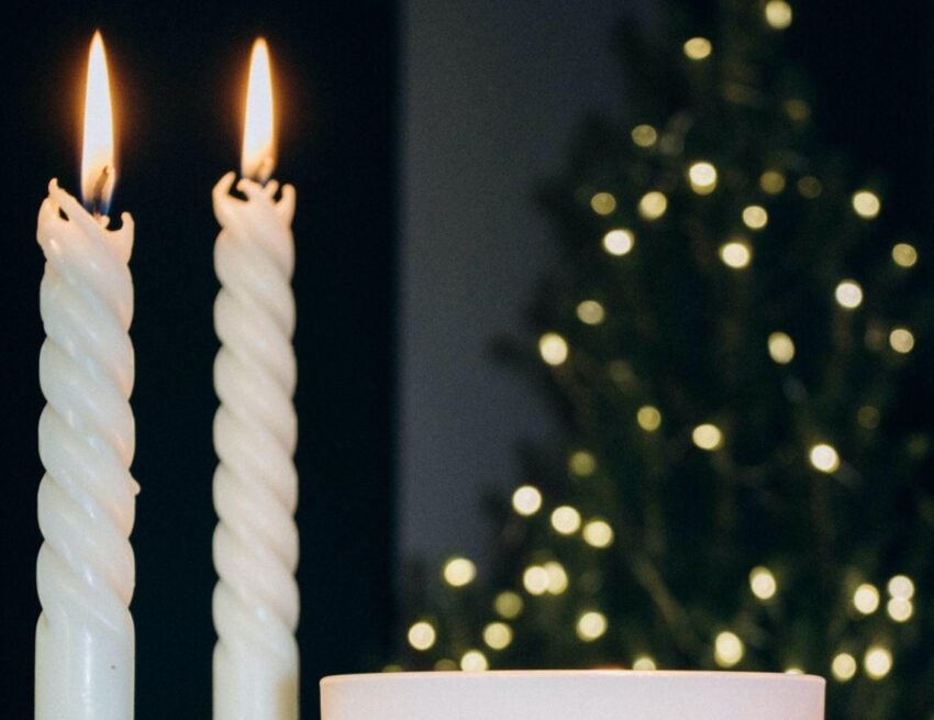 Affordable Christmas Trees to Light Up Your Holidays